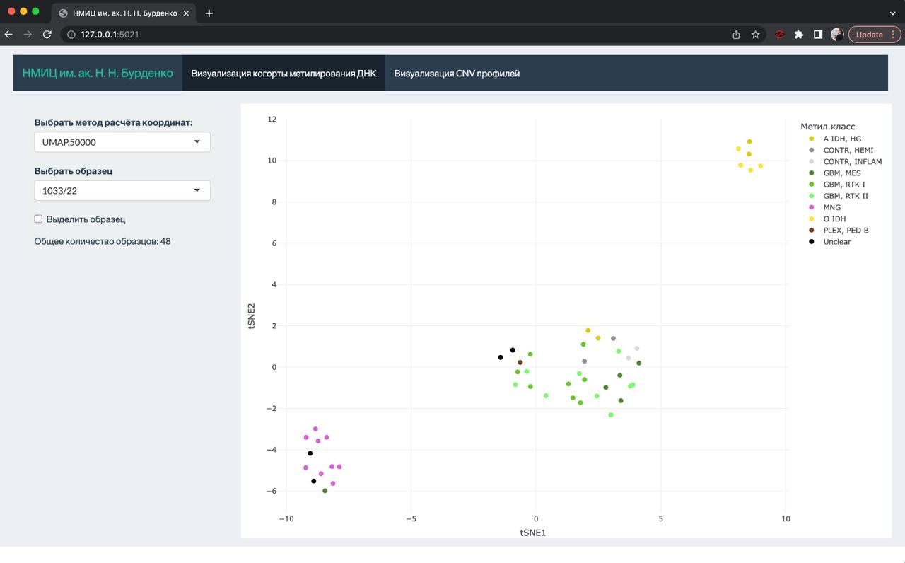 Услуга анализа метиляционного класса опухолей ЦНС с использованием  интерактивного Классификатора для визуализации данных ДНК-метилирования -  НМИЦ нейрохирургии им. ак. Н. Н. Бурденко